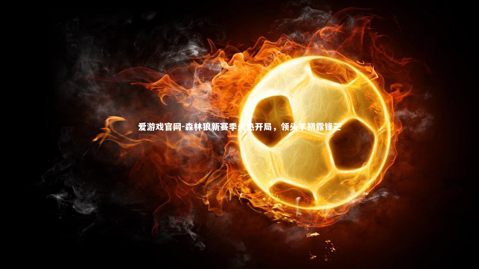 森林狼新赛季火热开局，领头羊初露锋芒