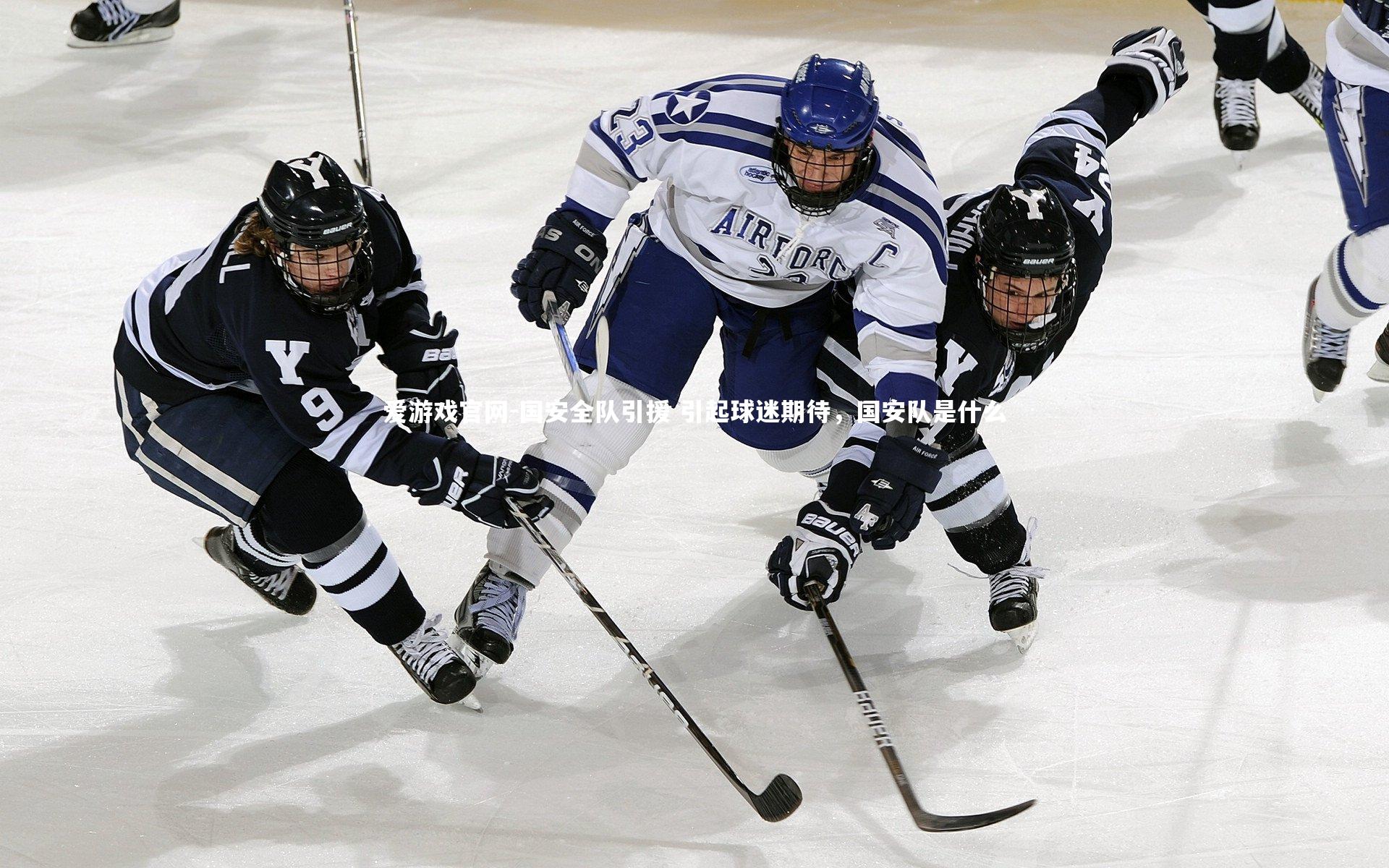 国安全队引援 引起球迷期待，国安队是什么